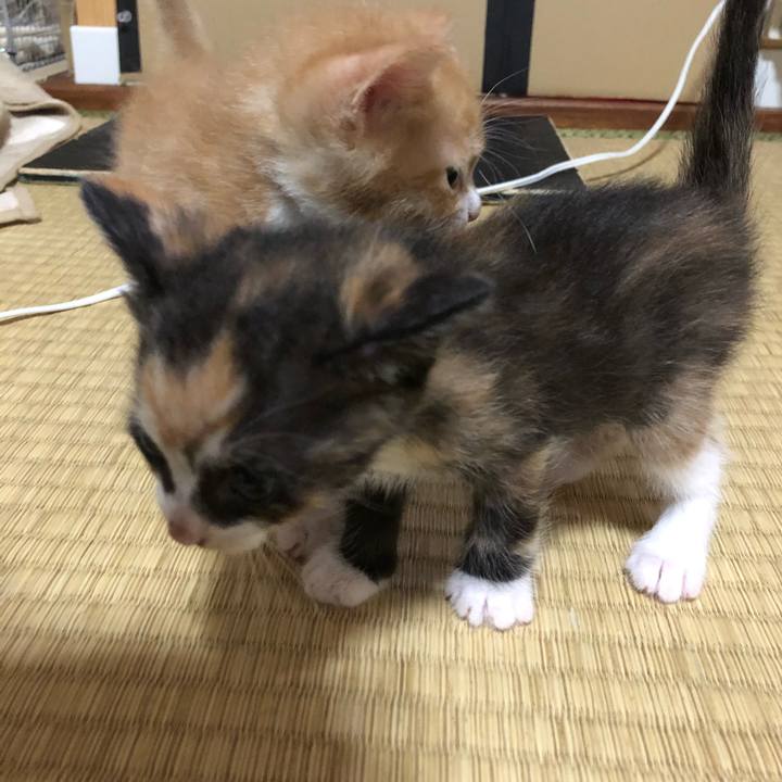 13f9efc1 eb0d 4be0 8a6e 5415a96f9f5c 1546872740982