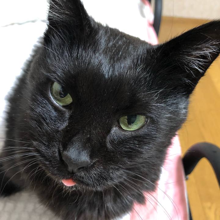 13f9f562 ebcd 407c 920e bba084e4beb0 1631706522652