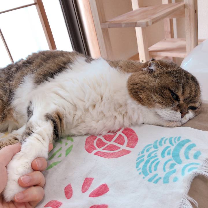 13fa02e9 bce7 4d88 b9d1 a0a8a8863ea2 1623060358236