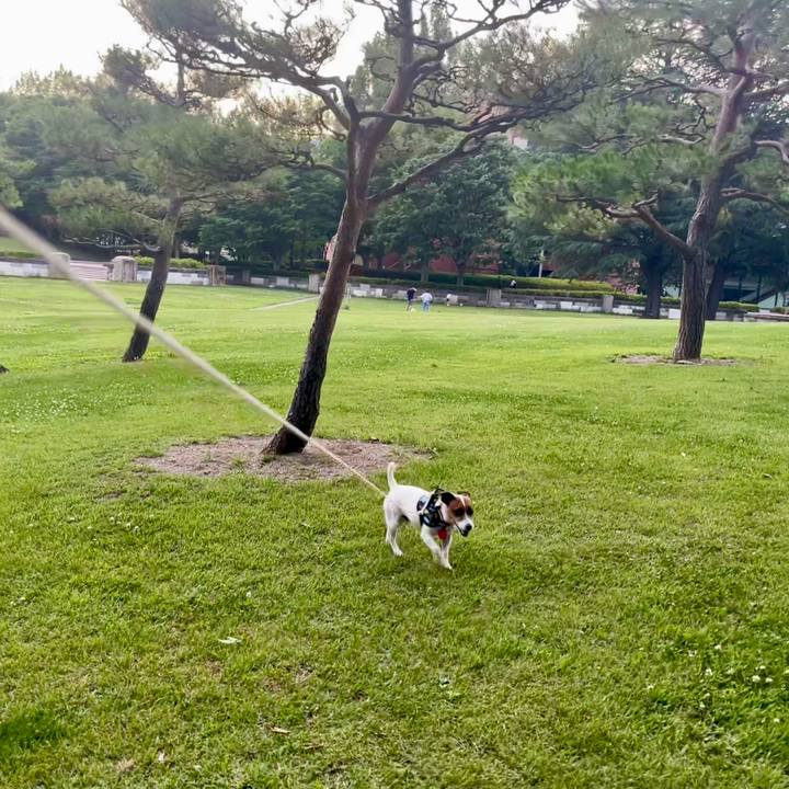 13fa0580 0654 4679 8b95 766bffbf2ed6 1719484408300