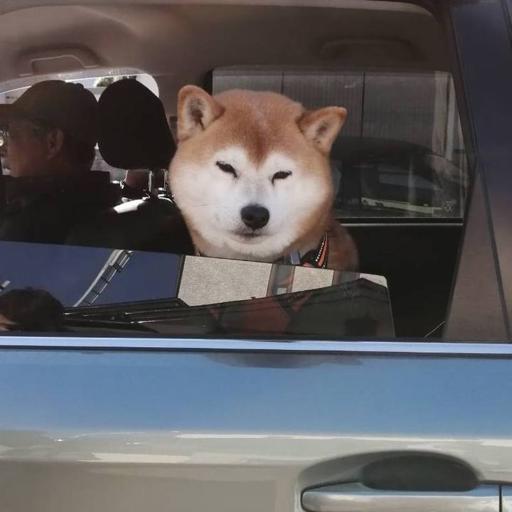 13fa08fb 5fab 42f8 bc1e f7bd995562d2 1585121642669