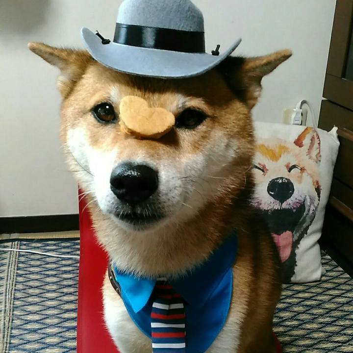 13fa359e 9080 4359 8931 123ca80524ac 1534742056668