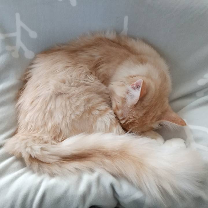 13fa6664 1649 4383 a6ac 9775b68e0681 1618456614222