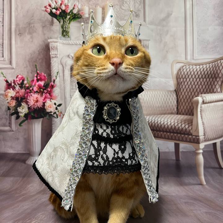 13fa8c2b 359c 4a00 bb3a d78e71508364 1698012738195