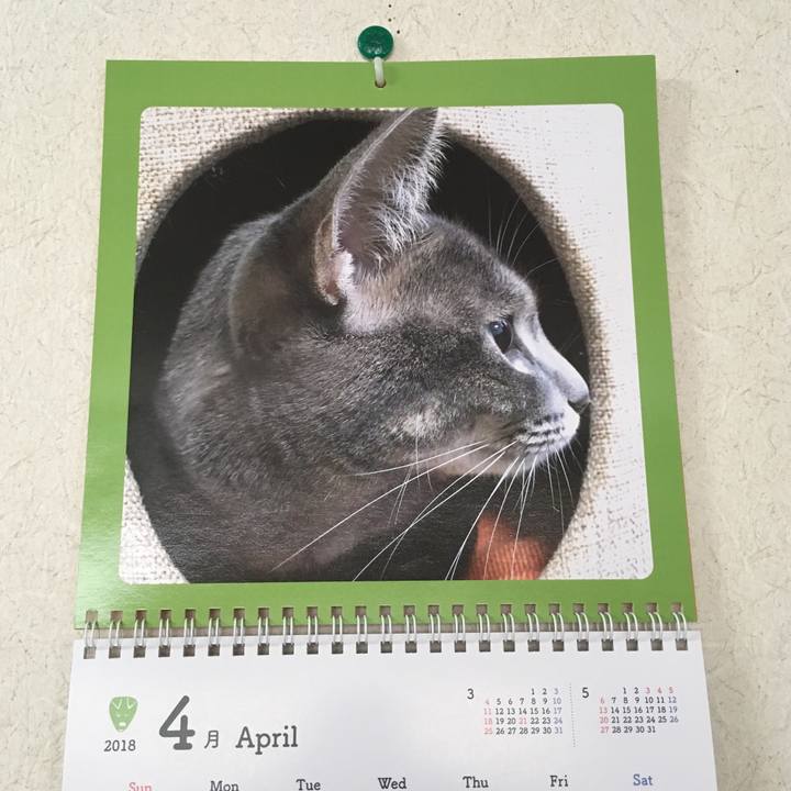 13fa9238 5ac4 4739 bcc1 1c79554bc513 1523072021453