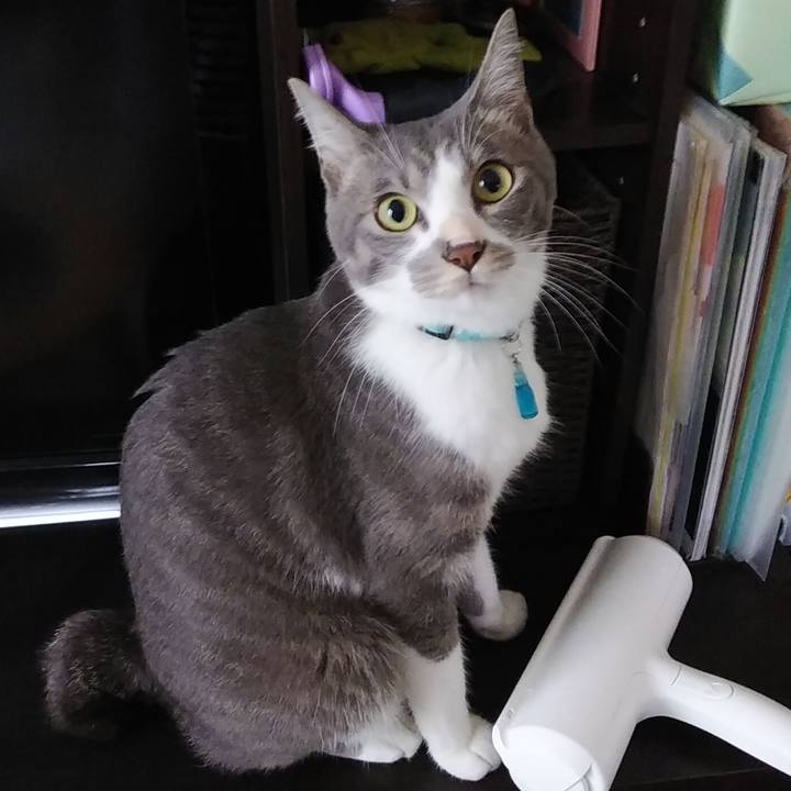 13faa998 c29a 4cd0 8148 fb9efa2c9c43 1594767787789