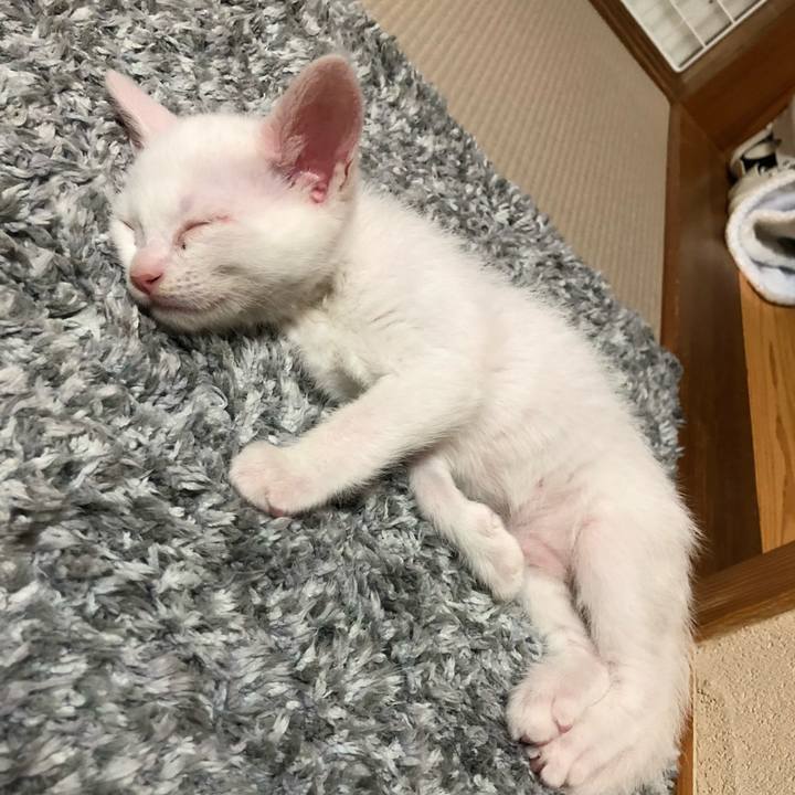 13faf305 fc61 464c 856c 24857103abf1 1531664317779