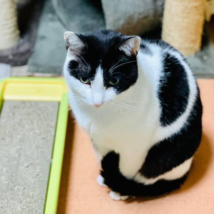 13fb0ad8 ab8a 4474 8d0d 0184ae0a28ae 1613104745150