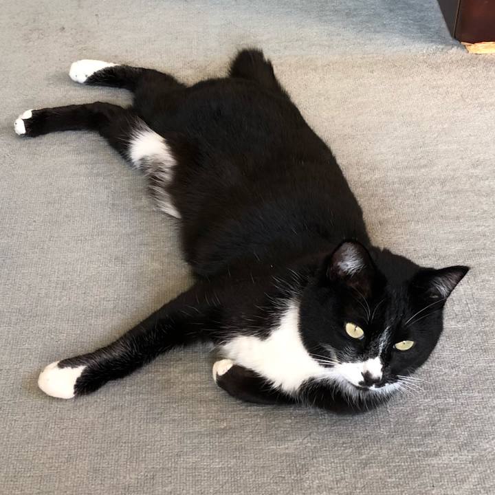 13fb14d0 50a7 4136 ba99 a95b715076d7 1583119204344