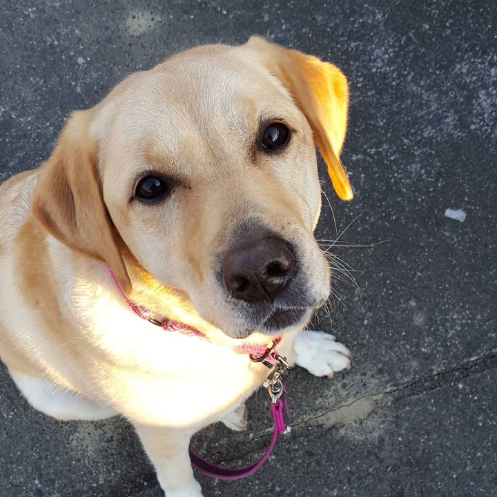 13fb33da 6e54 4d16 ab1d bb53d18fcc87 1514719296030