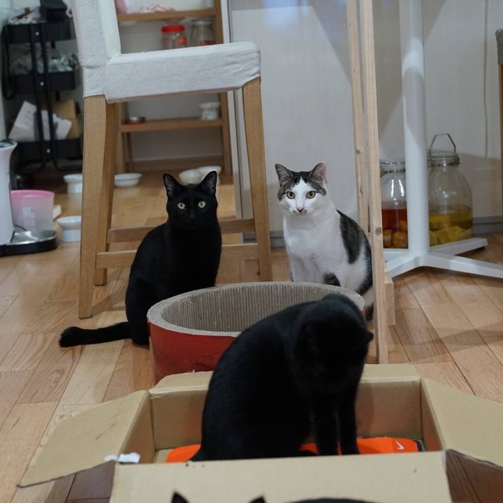 13fb5250 64fb 4c4d b858 137dfbdf7381 1527723719136