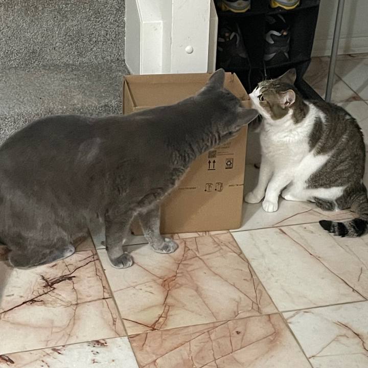 13fbc3f9 da2a 4afb ac63 84c62efba5b7 1735175971335