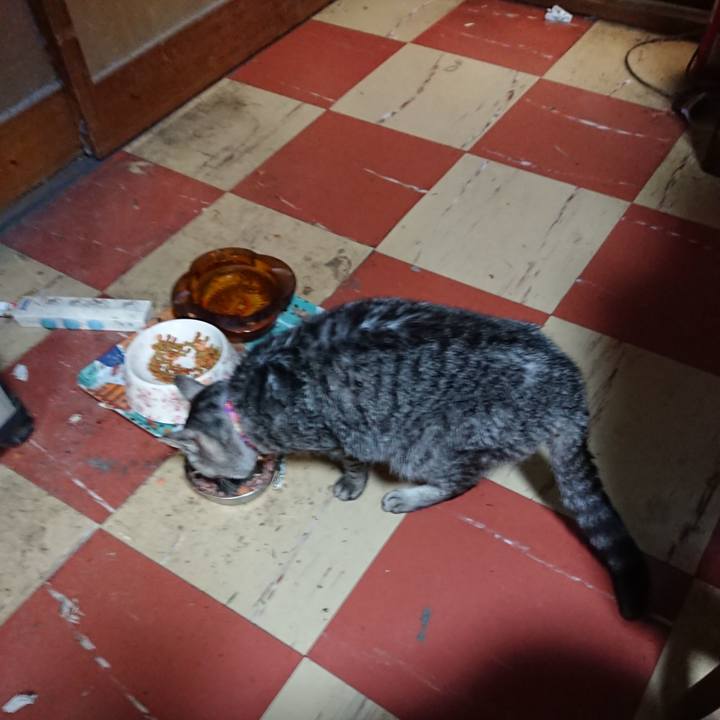 13fbd089 121a 4611 961b c8daacab9fab 1581075020611