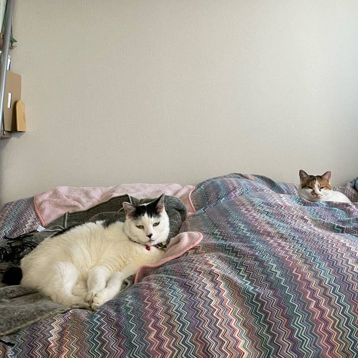 13fbe9f4 487e 484f 8233 73fb69c6415a 1639270757566