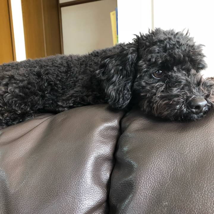 13fc1d78 9d8c 4aea a961 7d71d56cae47 1519910374003