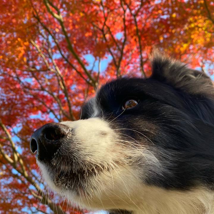 13fc81d1 e1e7 4643 94e9 6a1e5b53e542 1638404662061