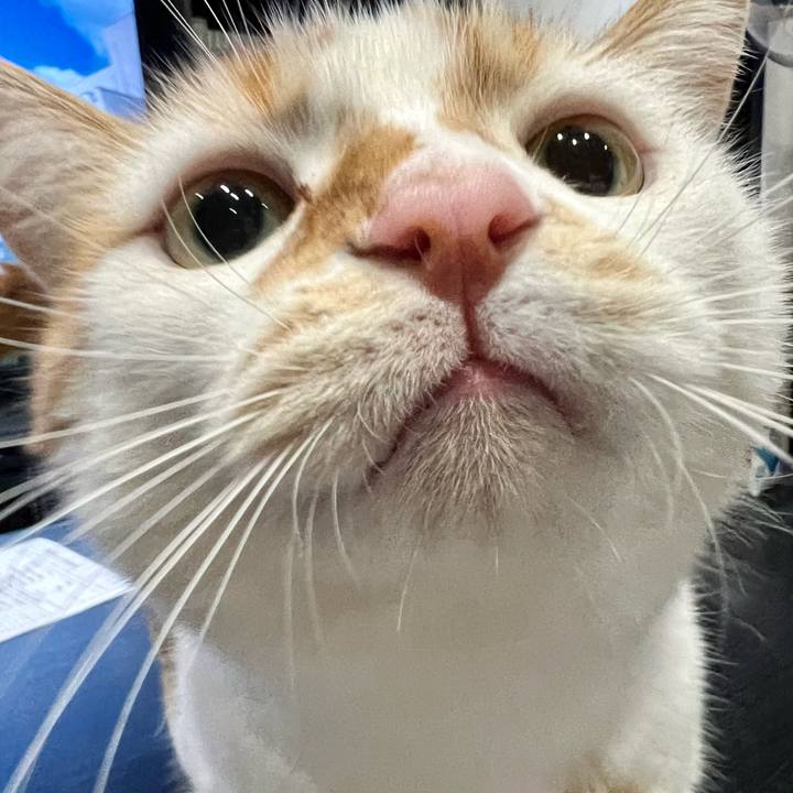 13fc8350 b57f 46ac 9822 b5b7c8cafc12 1763177870668