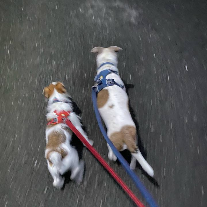 13fc9ba0 12ff 41ba 9261 3e21dbf99ef4 1665175343384