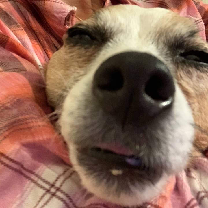 13fcaa3c 9f5f 4d79 b2ea b0dd7ebd020f 1647345787963