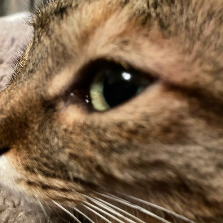 13fcbeb7 5441 4364 94ac f058a9656cff 1638007207730