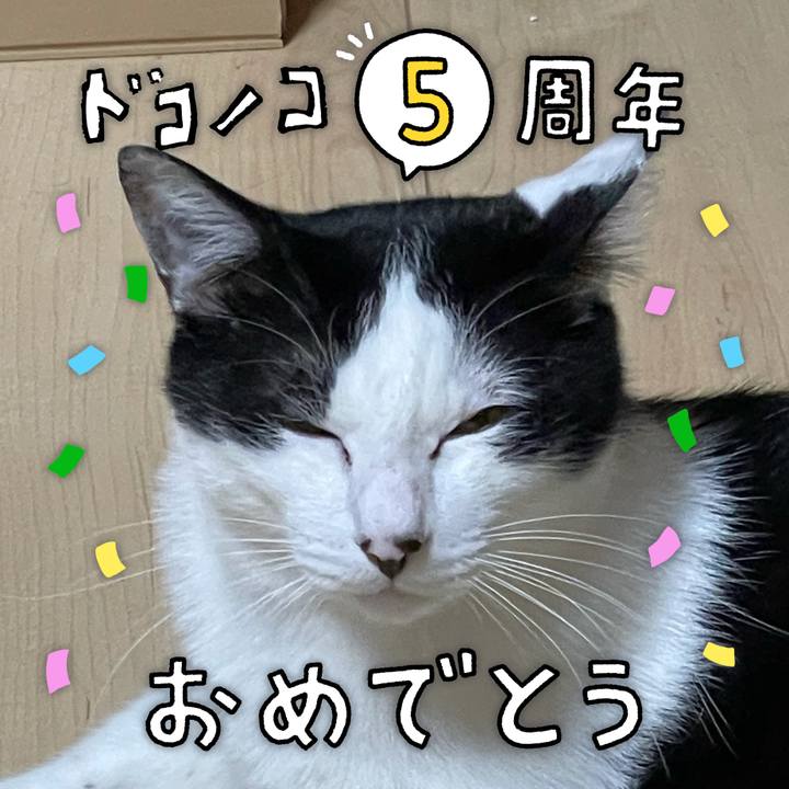 13fcf744 e8d2 421c b1df 30cc9584c6ff 1623153971310