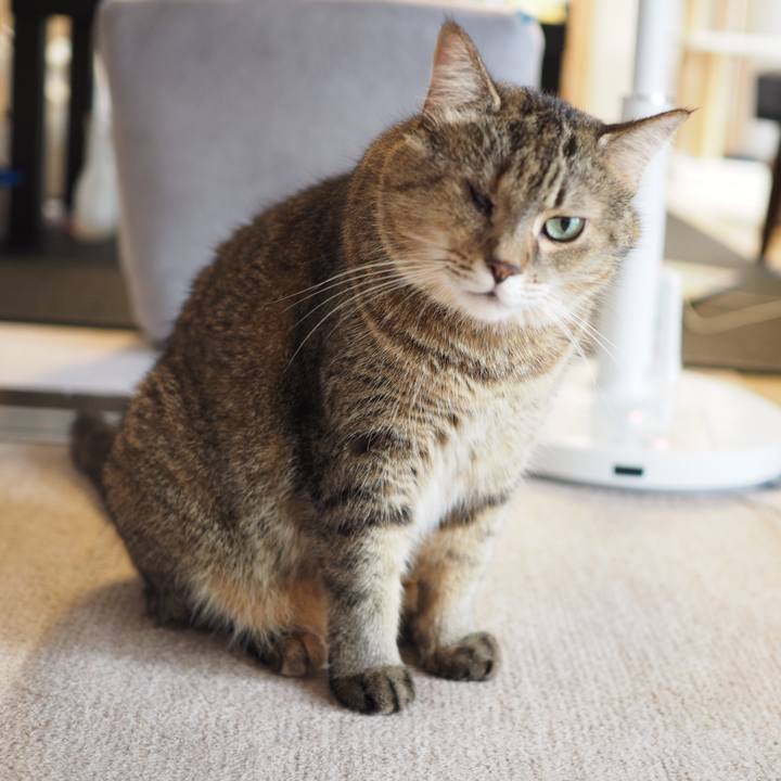 13fcfc16 a899 42c8 8b68 07bfe491d011 1600730713845