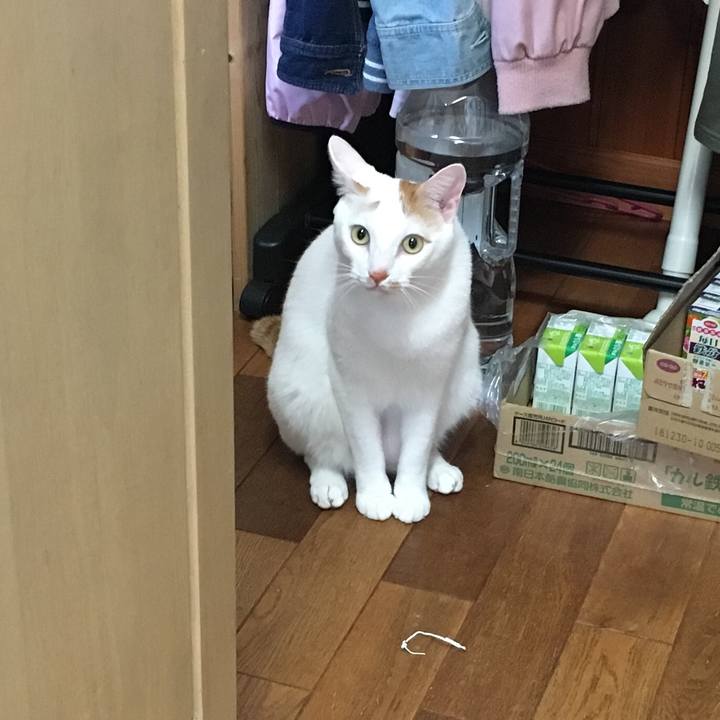 13fcfff7 e89e 4fab a637 488c5ed5d83c 1539298099345