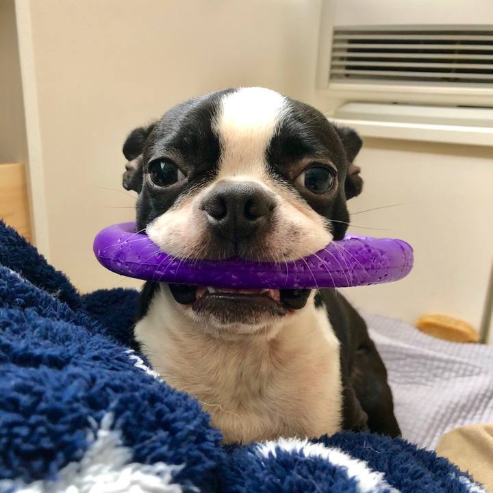 13fd0847 471e 41d3 9e51 f6c9c3173d8a 1516506969883