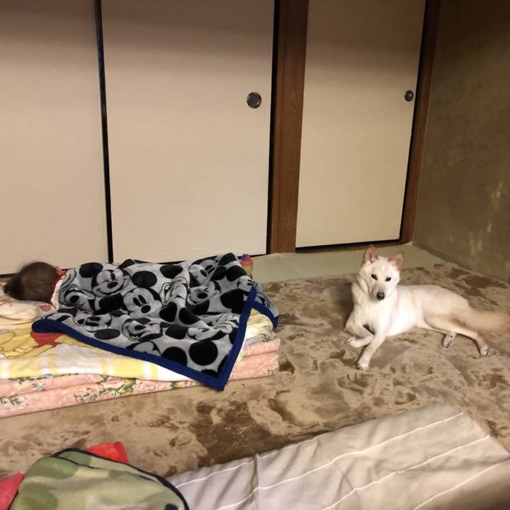 13fd3ba0 cf0e 476f b5dd 742304114563 1516020029767