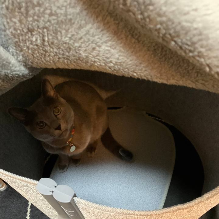 13fd3c13 b8b8 4a07 b514 18834dcd964a 1670885386557