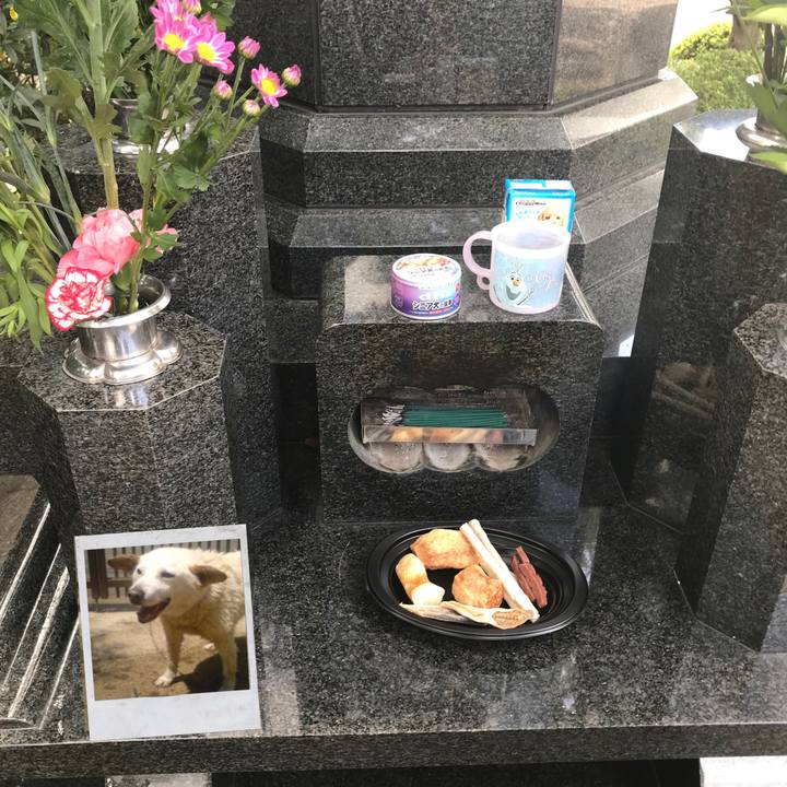 13fdd79d 42bc 4864 b19f 1175a2e3d598 1537791766863