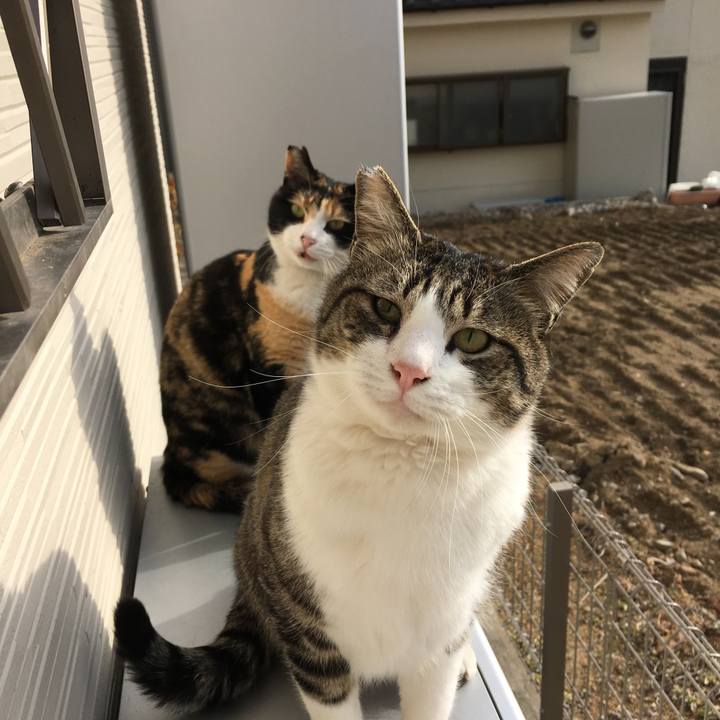 13fde608 044d 4145 a68b 1b043bb78a52 1517716328176