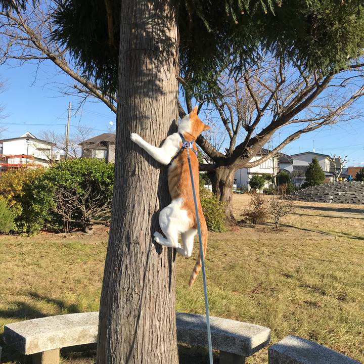 13fdf46d 9caf 453e 8349 38ce155192ad 1512192898534