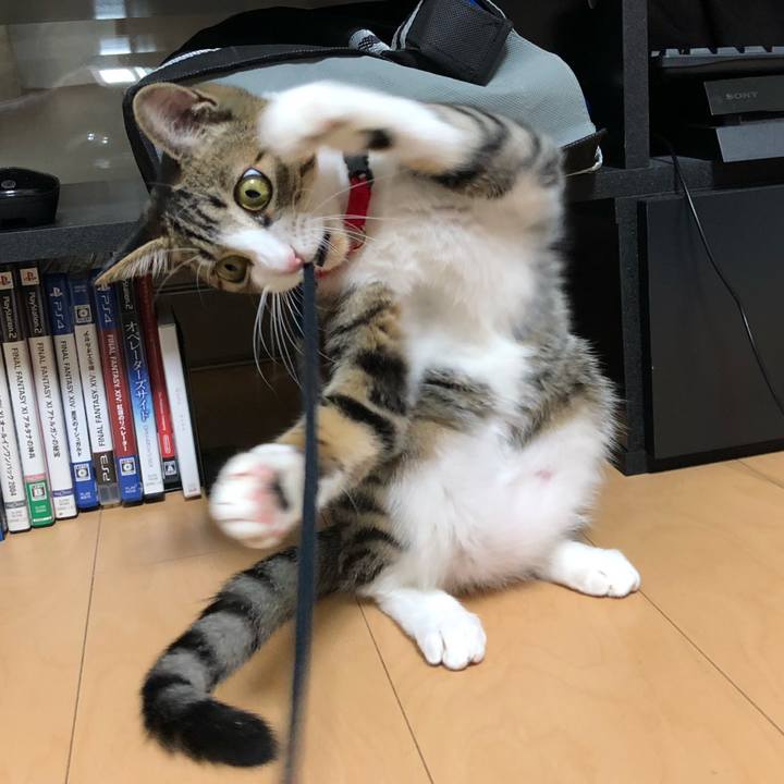 13fe690e 1f7c 48ca 9698 918f83d80230 1575814300248