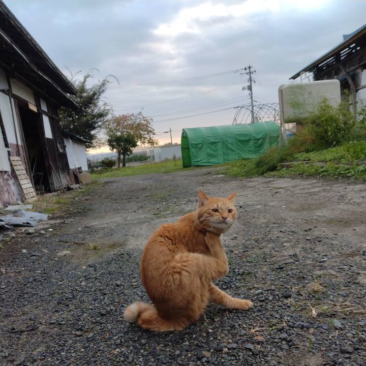 13fe7b56 5a3f 4db9 b05b d63527c41498 1665702815239