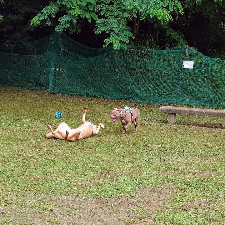 13fe7da2 eb4a 498f bbdb a2f02d938d4c 1719719198205