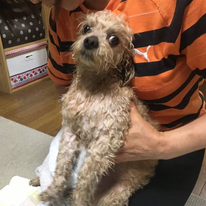 13fe9079 c1ec 4e96 bf36 af7de2efde38 1558791527382