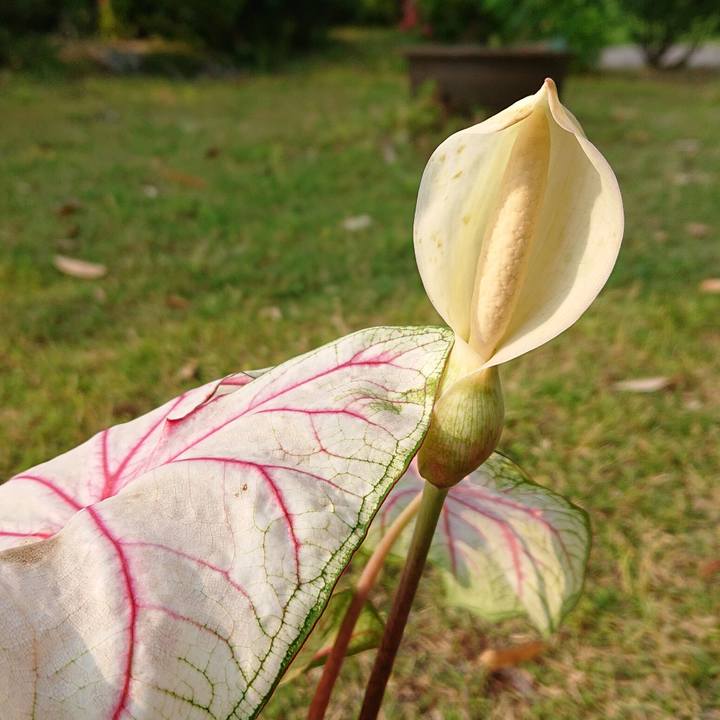 13feb08a b338 49f1 8ef4 982c8423fb7a 1653880655927