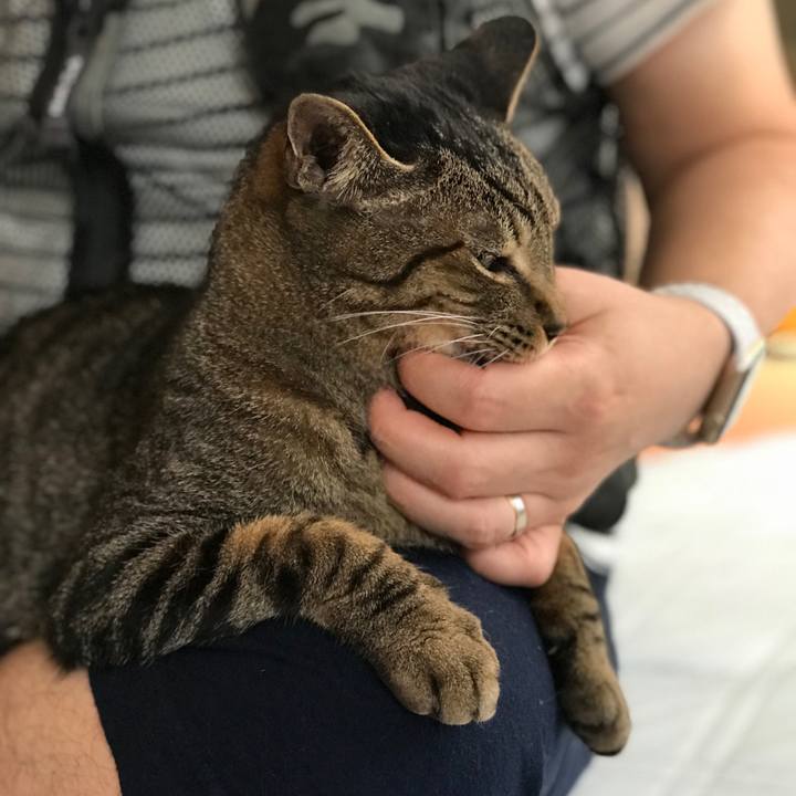 13feef7c 66f0 4505 9986 7becb9289334 1531273485832