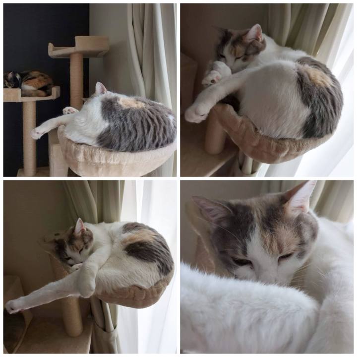 13ff6245 f581 4dd6 b9a7 737d766b0c98 1682655641858