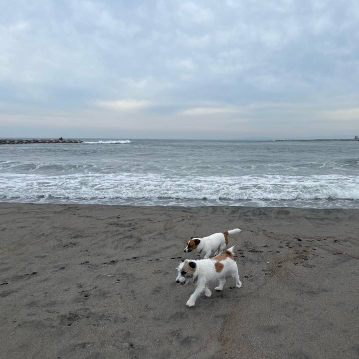 13ff90d6 15f4 4556 9160 c84763082762 1694129946967