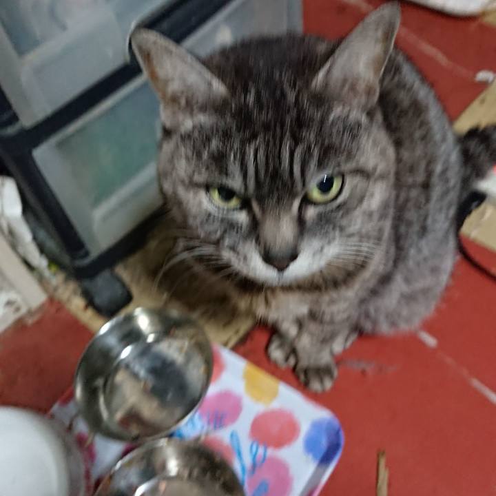 13ff9912 5c34 43b3 94fb a92335d9fc34 1551090625037