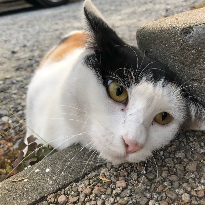 13ffcbb0 349b 434f 9fa4 fd1fca081d6a 1602799636283