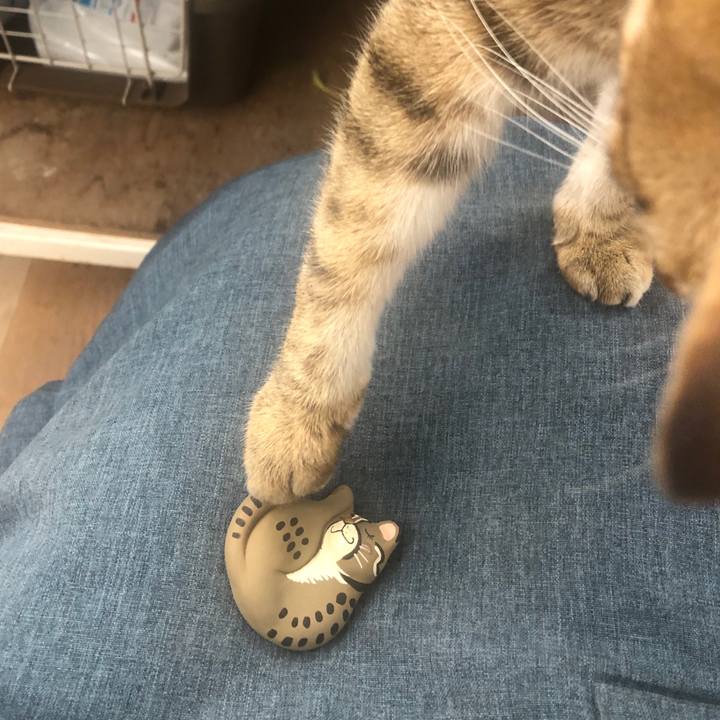 13ffdbfa 7cc6 49d6 a295 dea4190155ee 1642833633950