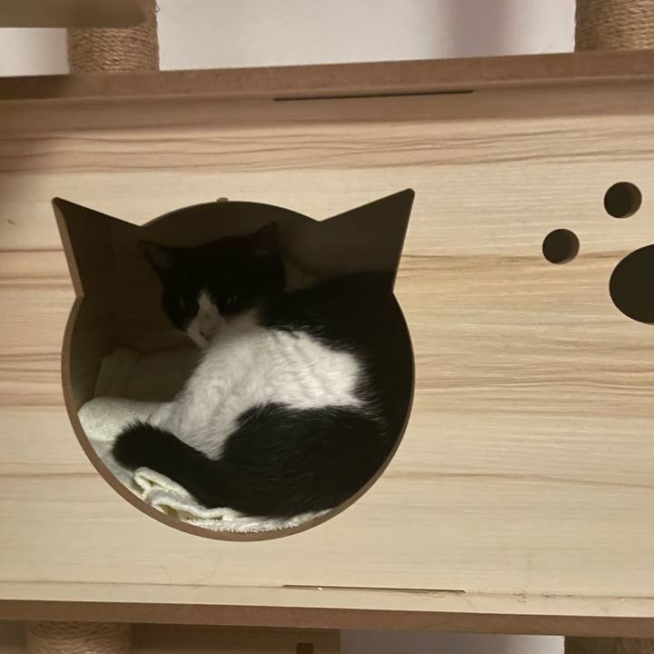 13ffddcb 1fd6 4eaf b17b 5a3390f3d9ac 1703075365389