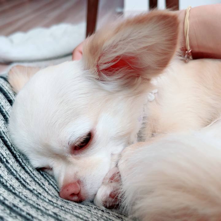 13fffba2 19b2 49da 9c9c 22a90d7c7f2e 1690764597981