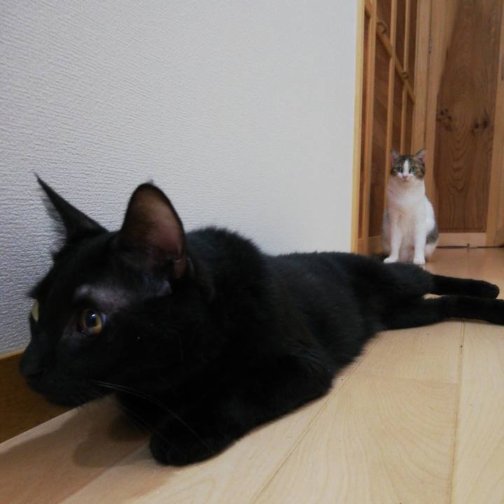 14001ef7 3d77 415b 9b2f 54d43e0c3036 1631424712298