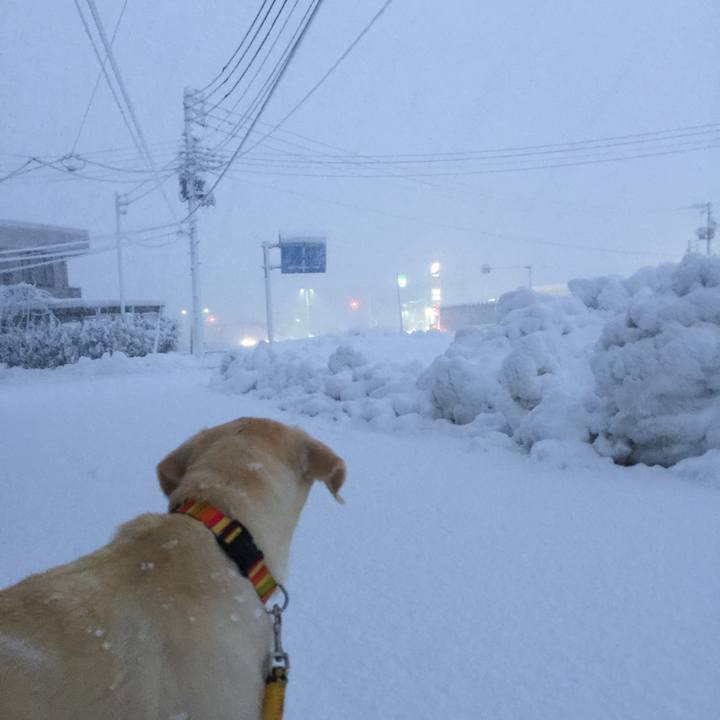 14006057 ba47 4d3e 85f1 2b7c4378e785 1515622037544