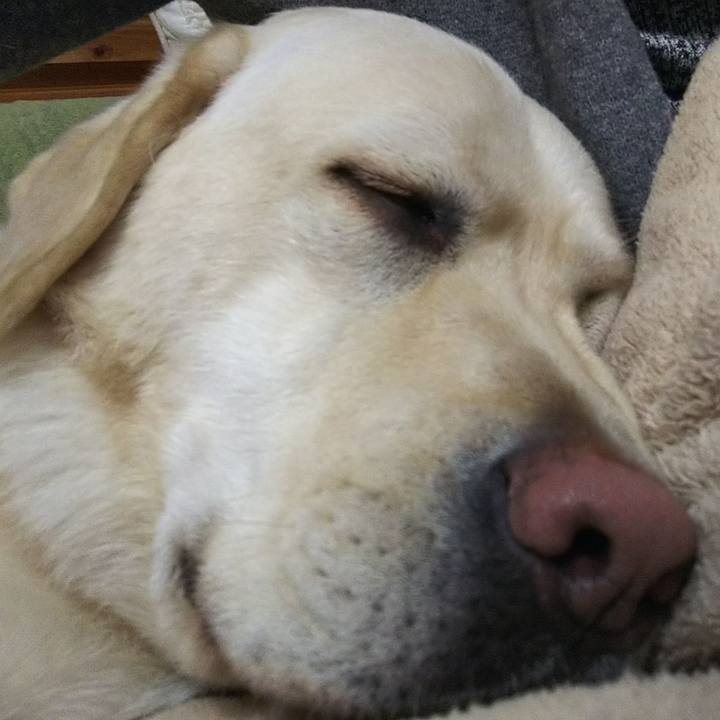 140084f2 f482 4119 ba56 07068260b07f 1520065792718