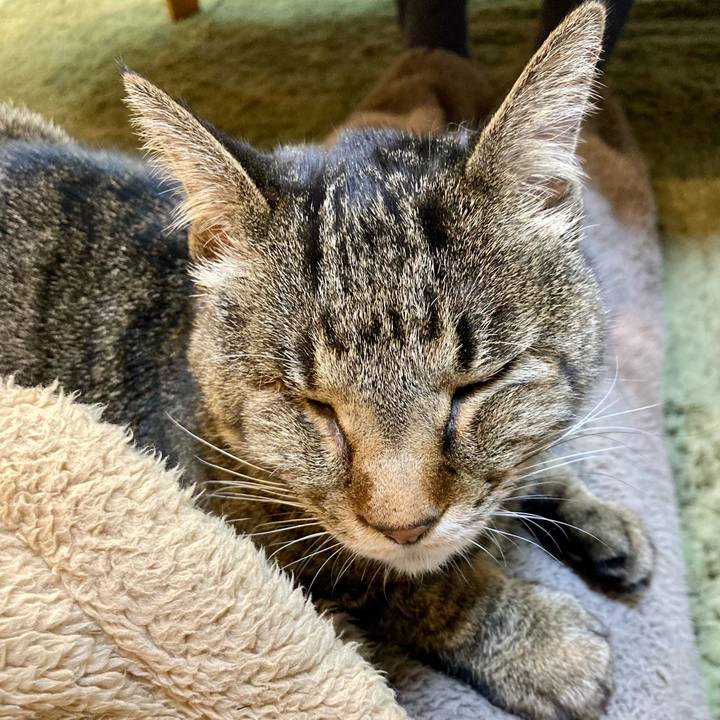 1400e89f c1fb 43df 89a5 e5a8553f3c0b 1645093742217